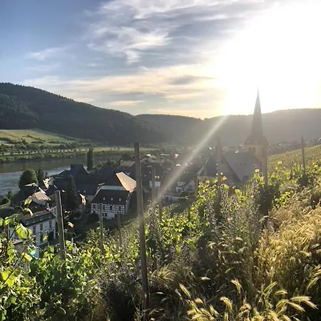 Citystudio 3 Rosenburgblick In Moselnaehe アパート