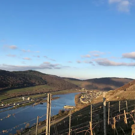 Citystudio 3 Rosenburgblick In Moselnaehe アパート ツェルティンゲン・ラハティグ