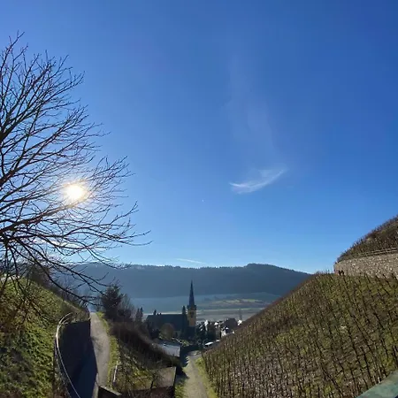 Citystudio 3 Rosenburgblick In Moselnaehe * زلتنغن راختخ