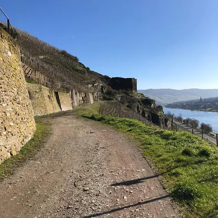 Citystudio 3 Rosenburgblick In Moselnaehe アパート *