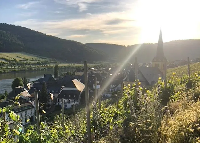 Citystudio 3 Rosenburgblick In Moselnaehe شقة