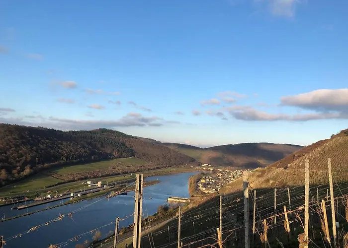 Citystudio 3 Rosenburgblick In Moselnaehe شقة زلتنغن راختخ