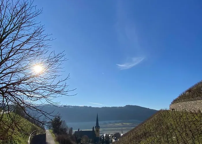 Citystudio 3 Rosenburgblick In Moselnaehe * زلتنغن راختخ