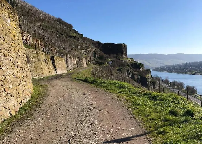 Citystudio 3 Rosenburgblick In Moselnaehe Apartamento *